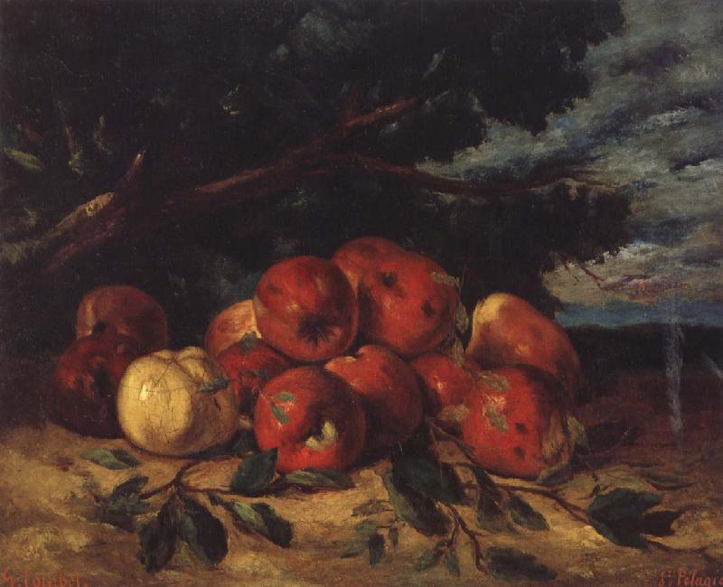 Gustave Courbet Red apples at the Foot of a Tree Germany oil painting art